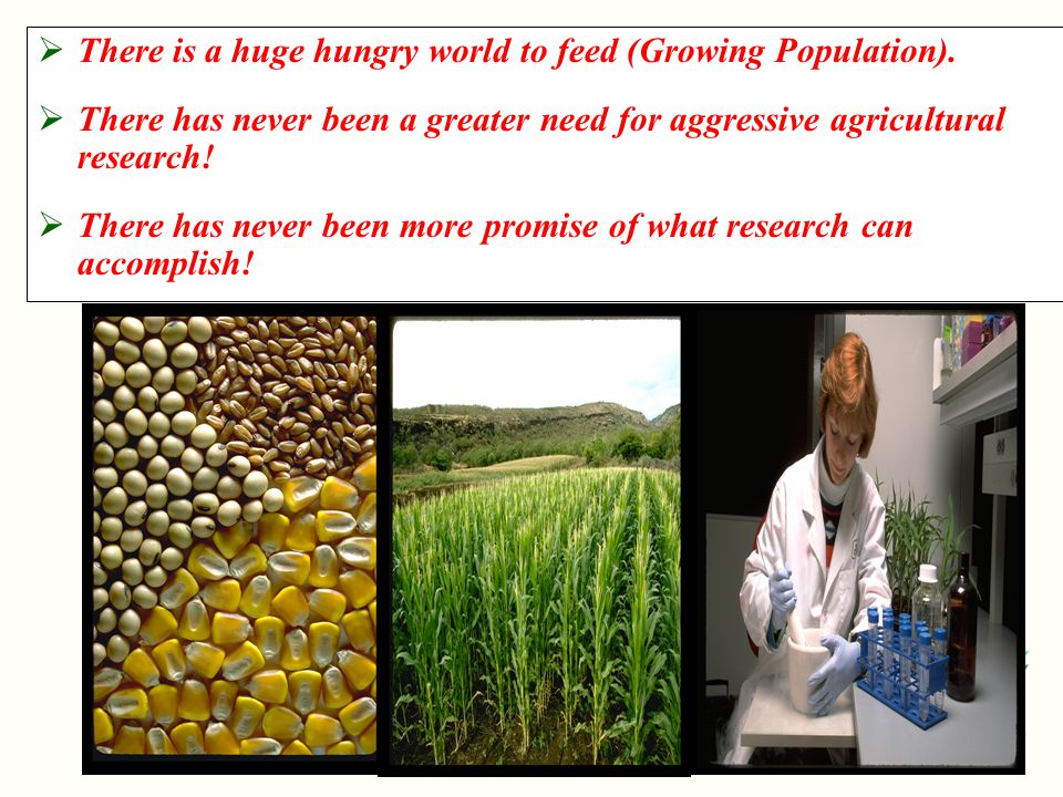 NDSU Agriculture  There is a huge hungry world to feed (Growing Population).