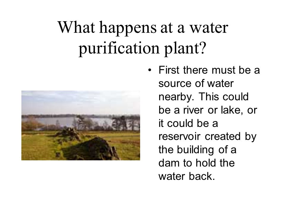 What happens at a water purification plant. First there must be a source of water nearby.