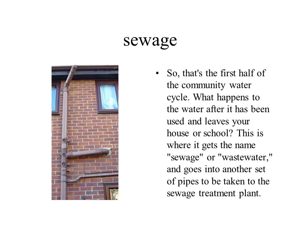 sewage So, that s the first half of the community water cycle.