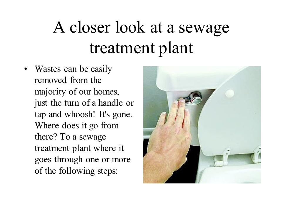 A closer look at a sewage treatment plant Wastes can be easily removed from the majority of our homes, just the turn of a handle or tap and whoosh.