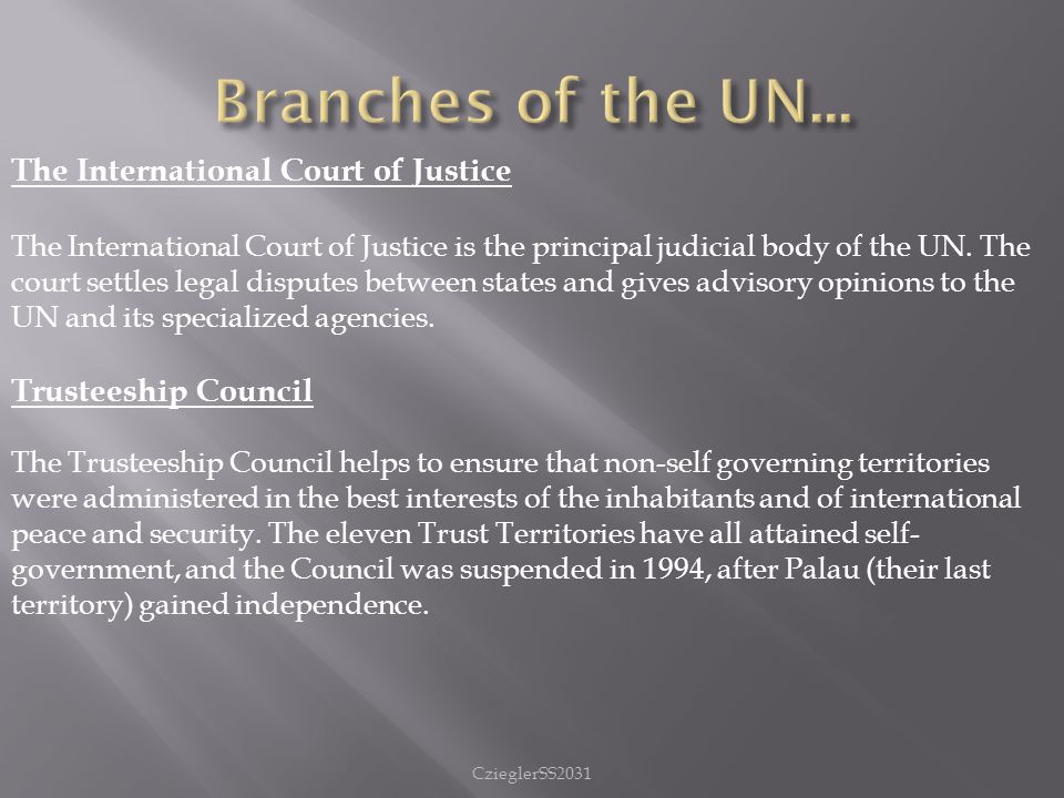 CzieglerSS2031 The International Court of Justice The International Court of Justice is the principal judicial body of the UN.