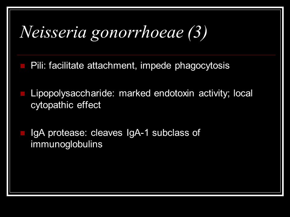 Neisseria gonorrhoeae (3) Pili: facilitate attachment, impede phagocytosis Lipopolysaccharide: marked endotoxin activity; local cytopathic effect IgA protease: cleaves IgA-1 subclass of immunoglobulins