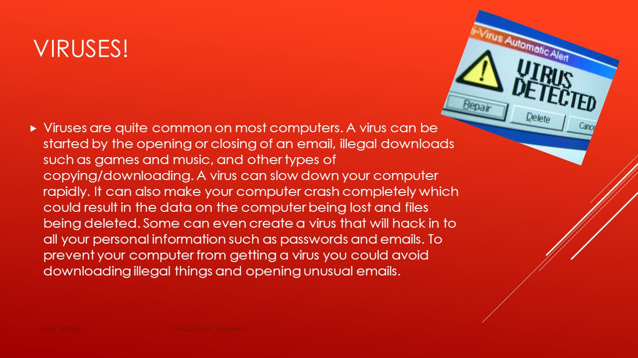 VIRUSES.  Viruses are quite common on most computers.