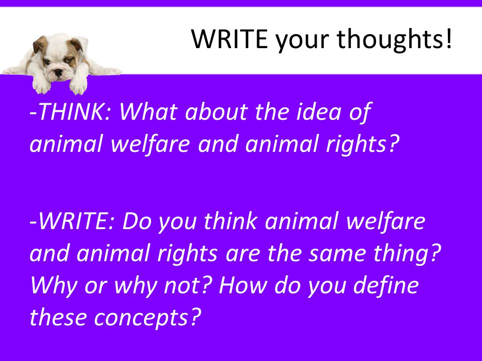 WRITE your thoughts! -Can you think of any words, phrases or ideas that  people may be confused or misinformed about? List a few. Welcome to Class!  - ppt download