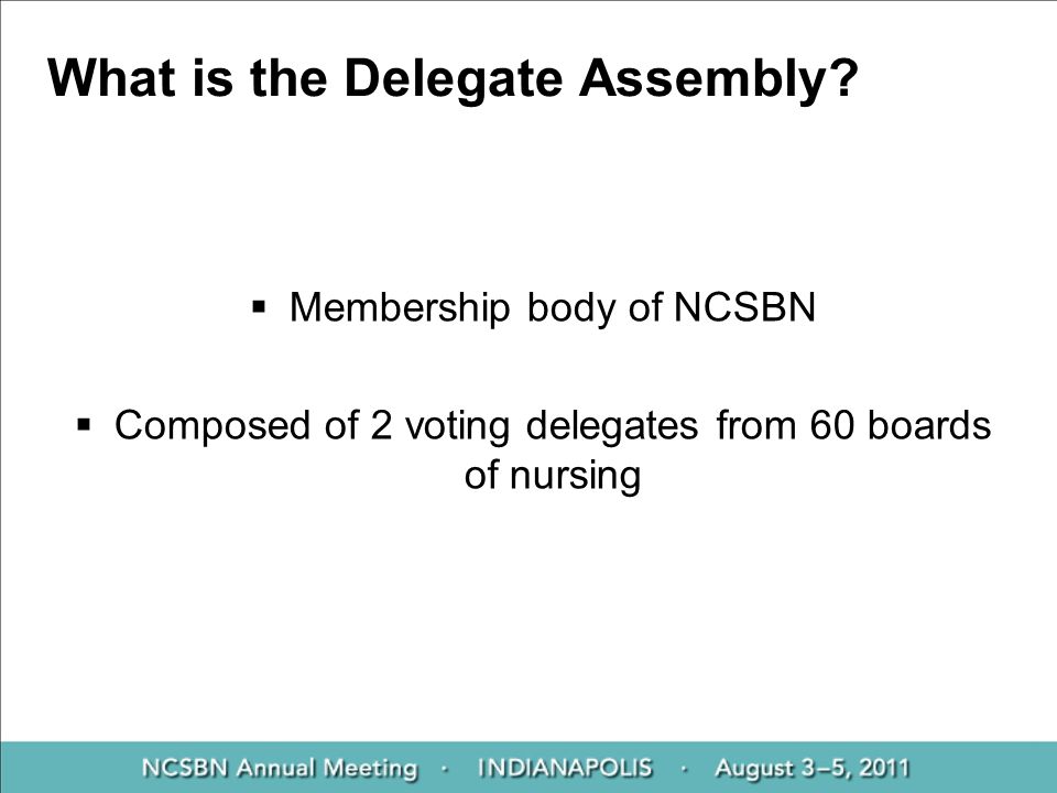 What is the Delegate Assembly.
