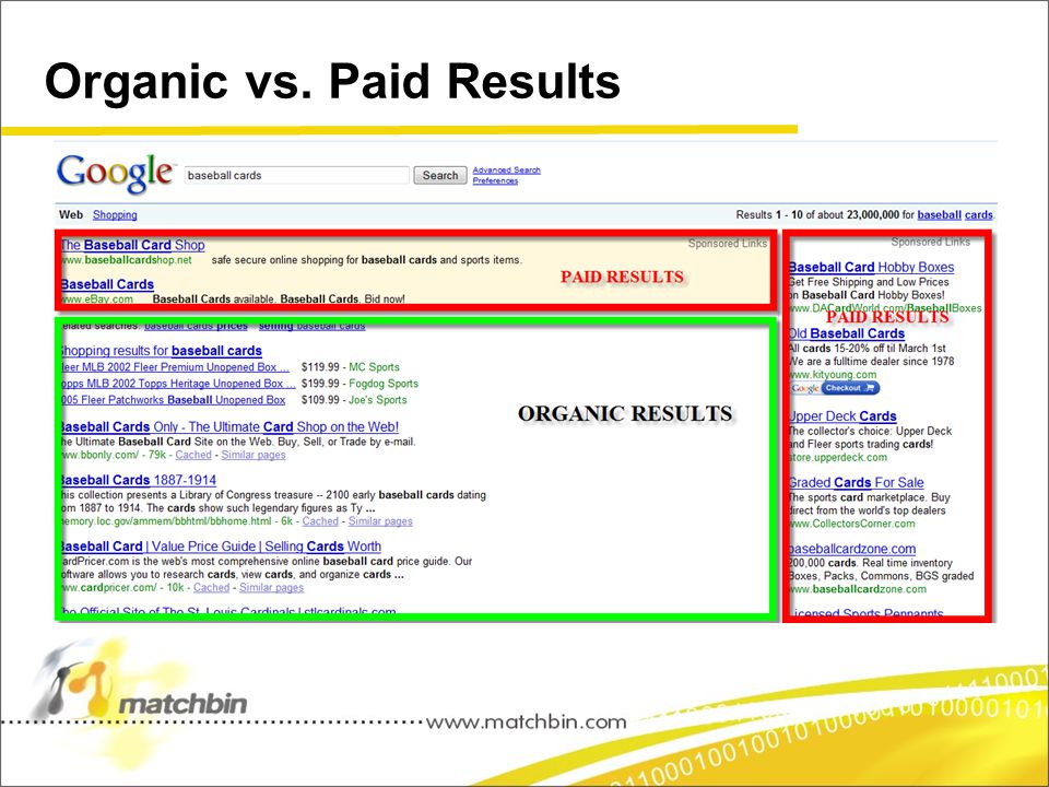 Organic vs. Paid Results
