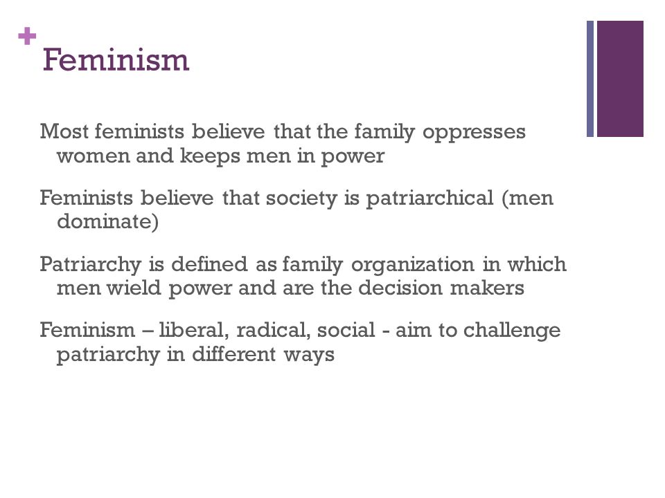 + Theoretical Perspectives: 1 Feminism