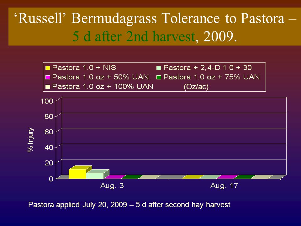 ‘Russell’ Bermudagrass Tolerance to Pastora – 5 d after 2nd harvest, 2009.