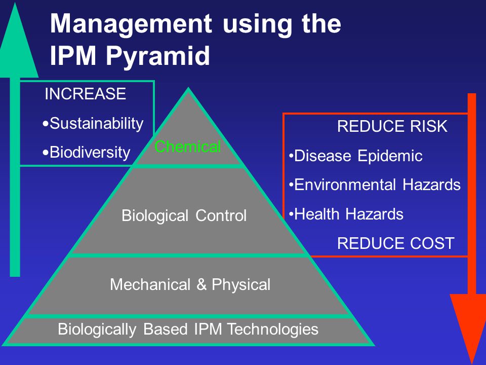 REDUCE RISK Disease Epidemic Environmental Hazards Health Hazards REDUCE COST INCREASE Sustainability Biodiversity Chemical Mechanical & Physical Biological Control Biologically Based IPM Technologies Management using the IPM Pyramid