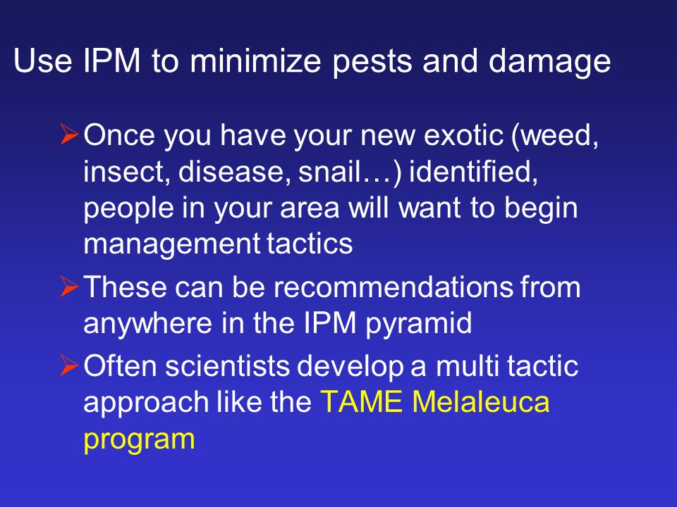 Use IPM to minimize pests and damage  Once you have your new exotic (weed, insect, disease, snail…) identified, people in your area will want to begin management tactics  These can be recommendations from anywhere in the IPM pyramid  Often scientists develop a multi tactic approach like the TAME Melaleuca program