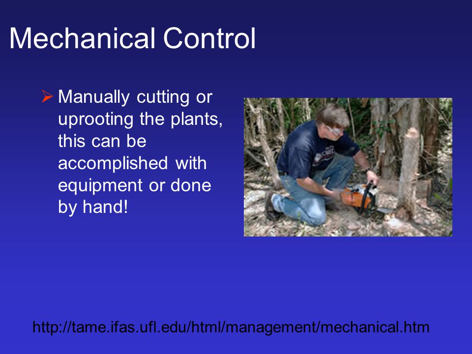 Mechanical Control  Manually cutting or uprooting the plants, this can be accomplished with equipment or done by hand.