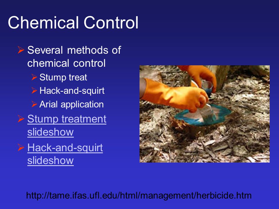 Chemical Control  Several methods of chemical control  Stump treat  Hack-and-squirt  Arial application  Stump treatment slideshow Stump treatment slideshow  Hack-and-squirt slideshow Hack-and-squirt slideshow