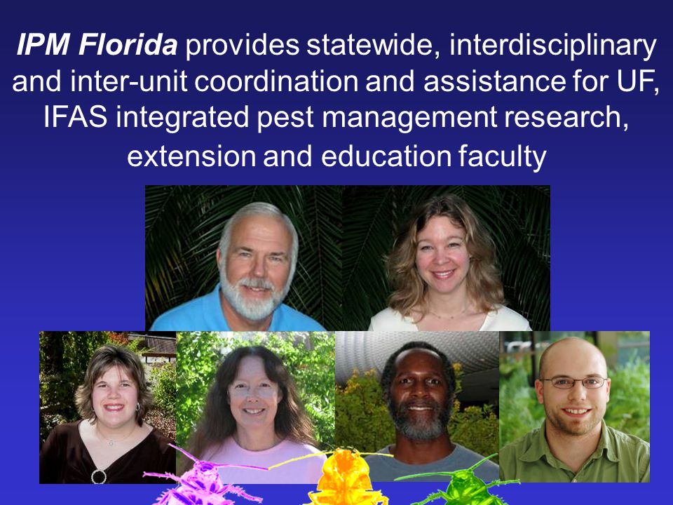 IPM Florida provides statewide, interdisciplinary and inter-unit coordination and assistance for UF, IFAS integrated pest management research, extension and education faculty