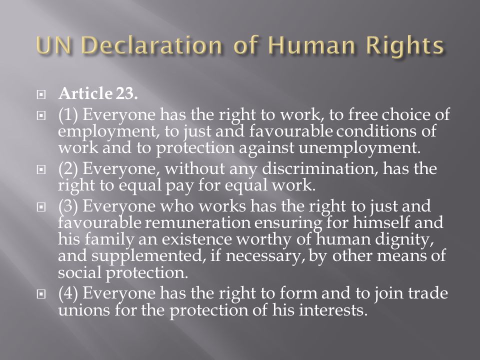  Article 23.