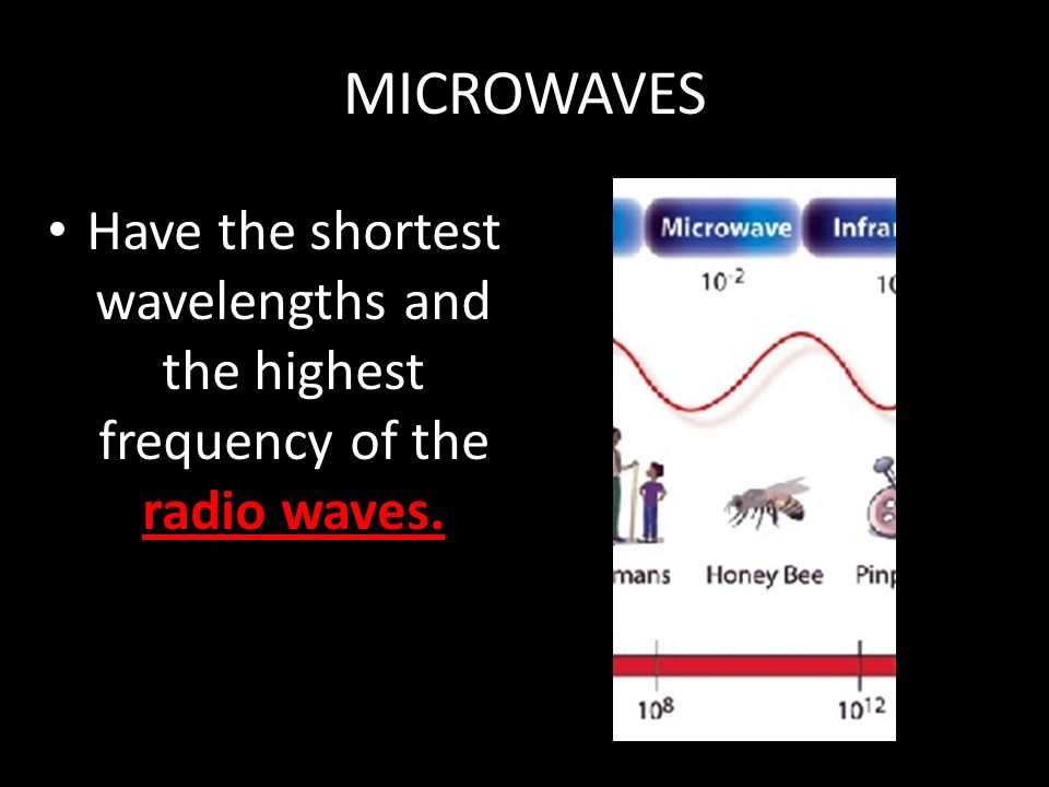 MICROWAVES Have the shortest wavelengths and the highest frequency of the radio waves.