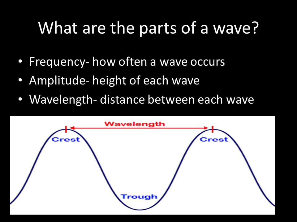 What are the parts of a wave.