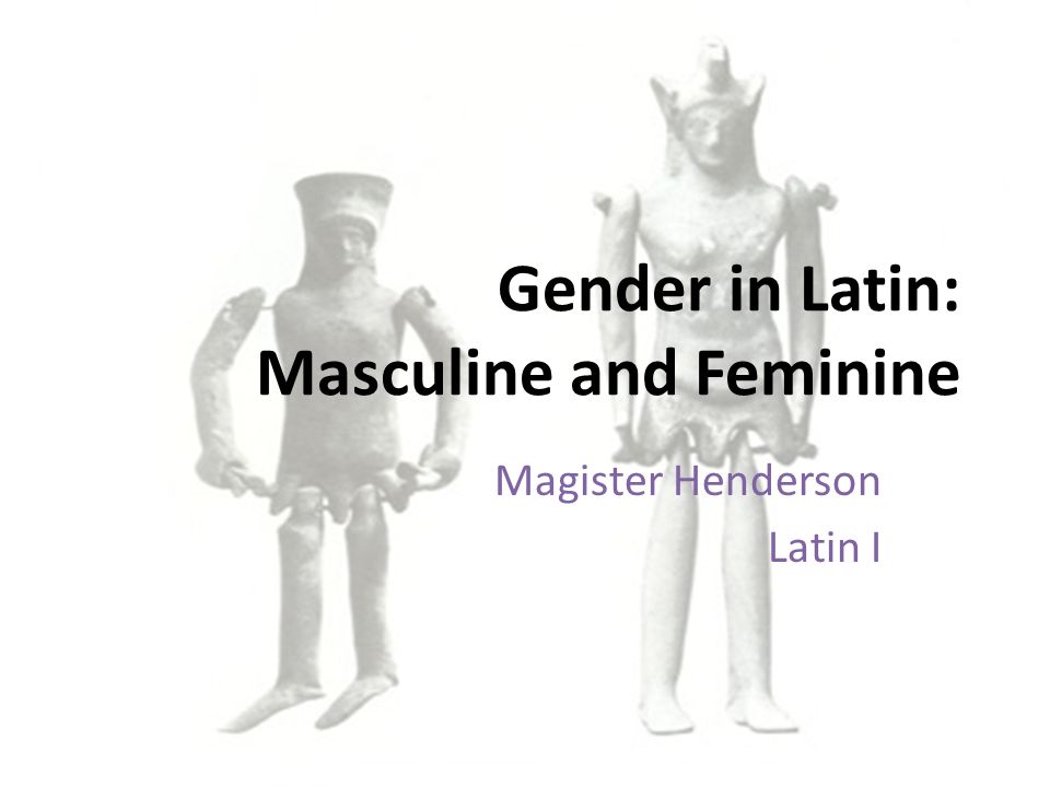 Gender in Latin: Masculine and Feminine Magister Henderson Latin I