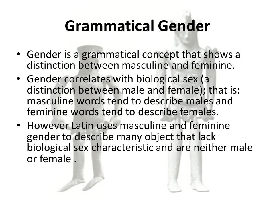 Grammatical Gender Gender is a grammatical concept that shows a distinction between masculine and feminine.