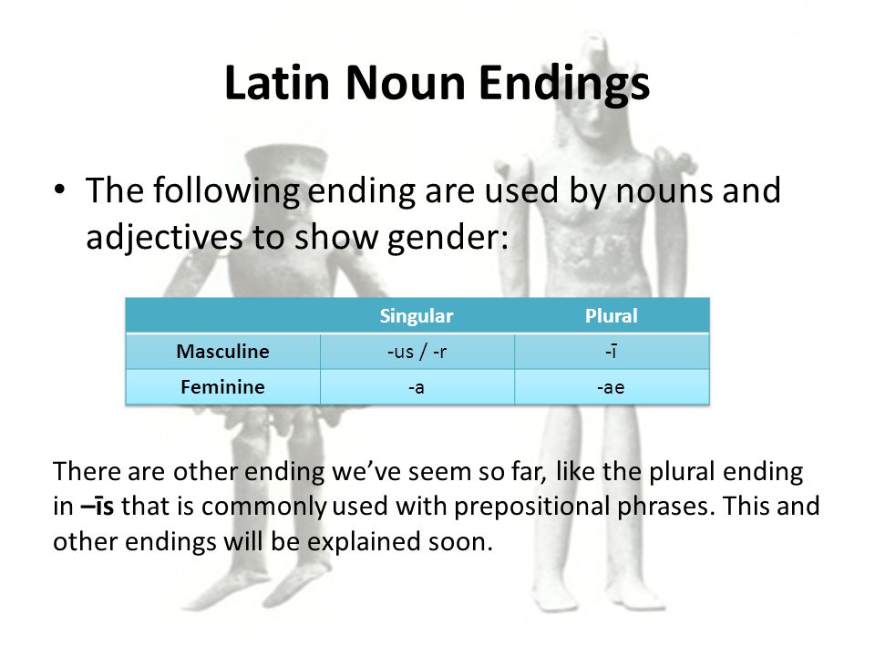 Latin Noun Endings The following ending are used by nouns and adjectives to show gender: There are other ending we’ve seem so far, like the plural ending in –īs that is commonly used with prepositional phrases.