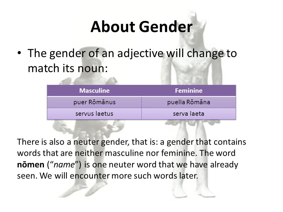 About Gender The gender of an adjective will change to match its noun: There is also a neuter gender, that is: a gender that contains words that are neither masculine nor feminine.