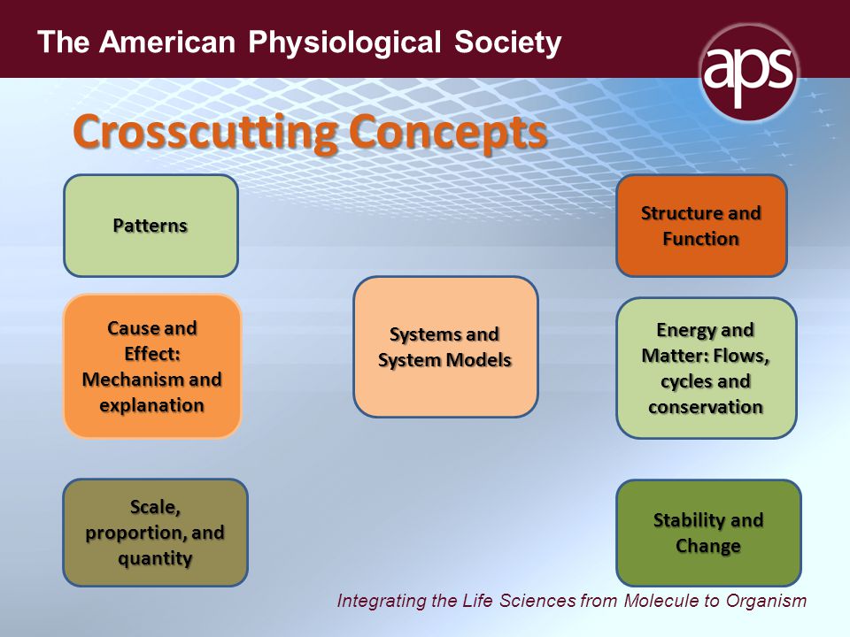 Integrating the Life Sciences from Molecule to Organism The American Physiological Society Crosscutting Concepts Patterns Cause and Effect: Mechanism and explanation Scale, proportion, and quantity Systems and System Models Energy and Matter: Flows, cycles and conservation Stability and Change Structure and Function
