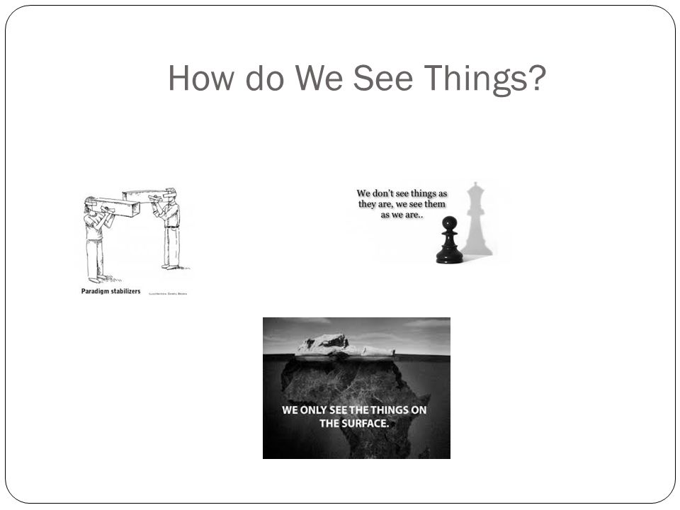 How do We See Things