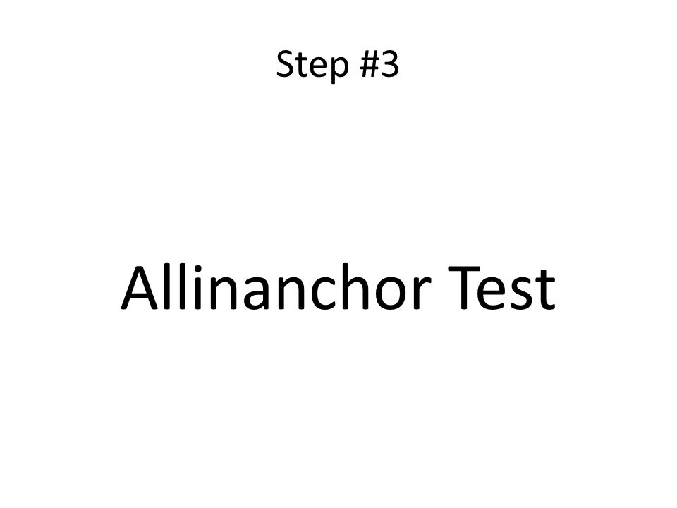 Step #3 Allinanchor Test