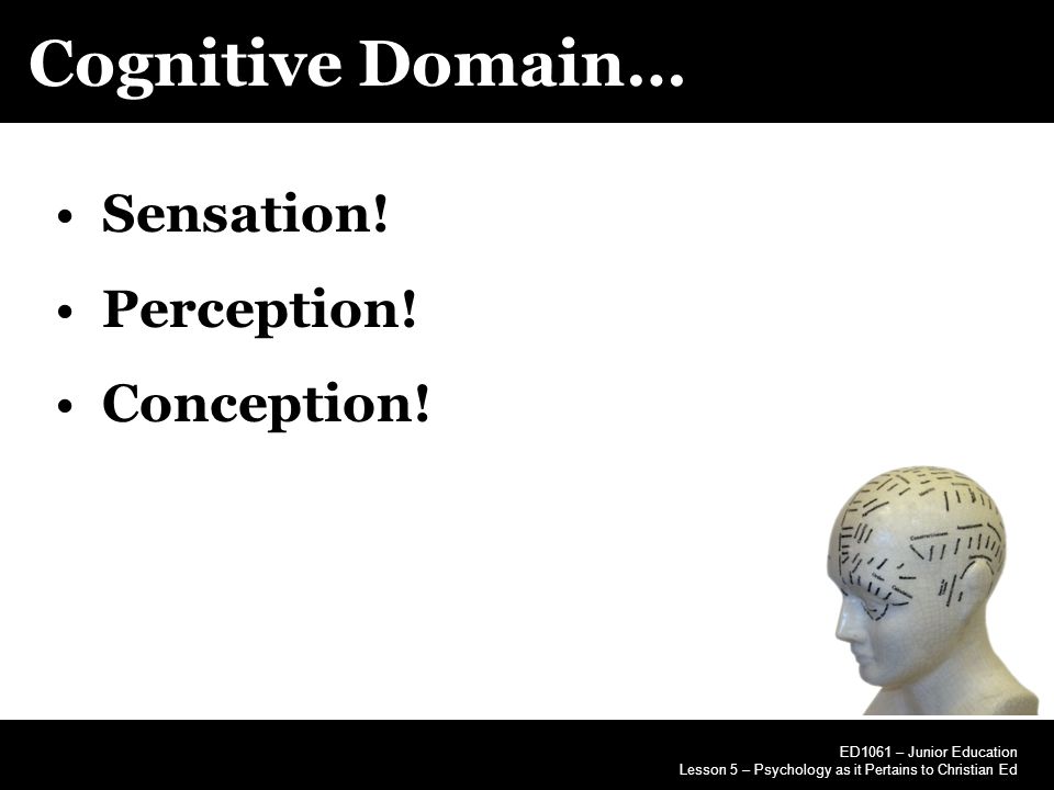 Cognitive Domain… ED1061 – Junior Education Lesson 5 – Psychology as it Pertains to Christian Ed Sensation.