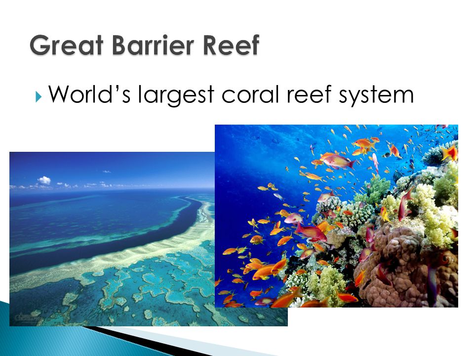  World’s largest coral reef system