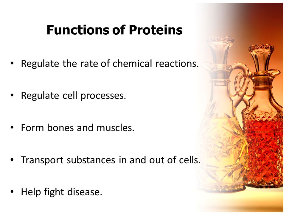 Functions of Proteins Regulate the rate of chemical reactions.