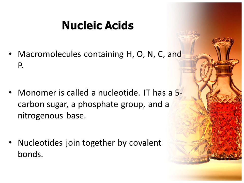 Nucleic Acids Macromolecules containing H, O, N, C, and P.