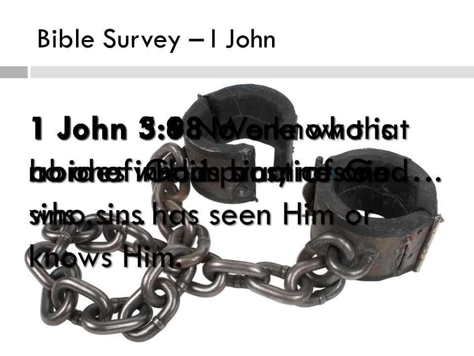 Bible Survey – I John Sin Sin in I John 1 John 3:6 No one who abides in Him sins; no one who sins has seen Him or knows Him.
