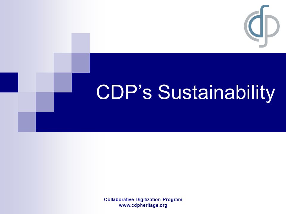 Collaborative Digitization Program   CDP’s Sustainability