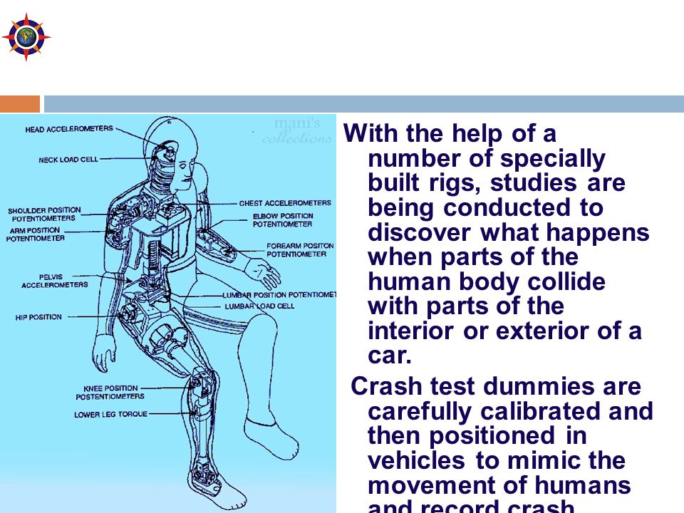 Crash Test Human Body