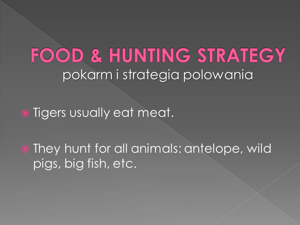  Tigers usually eat meat.  They hunt for all animals: antelope, wild pigs, big fish, etc.