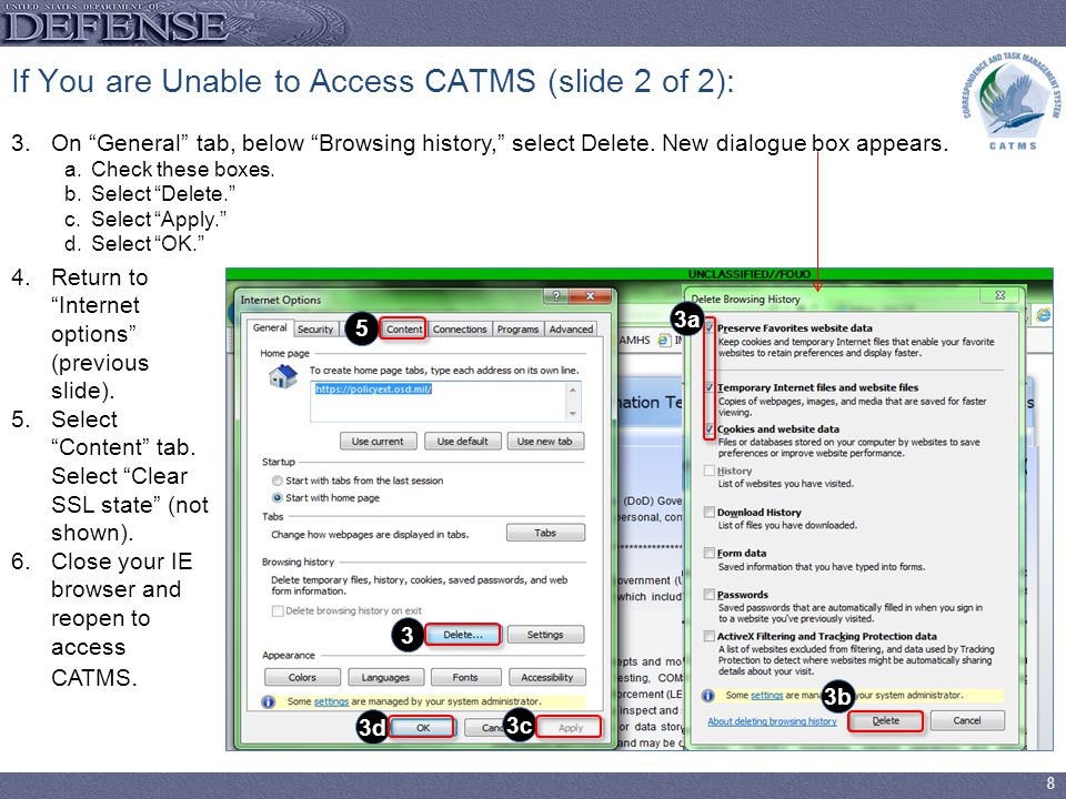 8 If You are Unable to Access CATMS (slide 2 of 2): 3.On General tab, below Browsing history, select Delete.