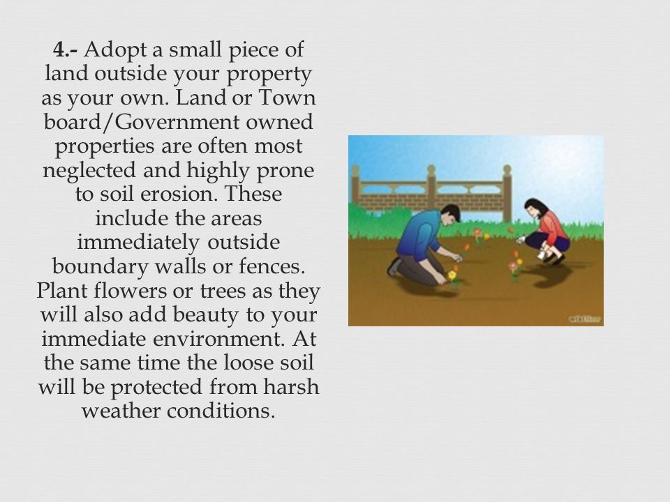 4.- Adopt a small piece of land outside your property as your own.