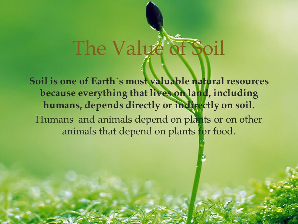  Soil is one of Earth´s most valuable natural resources because everything that lives on land, including humans, depends directly or indirectly on soil.