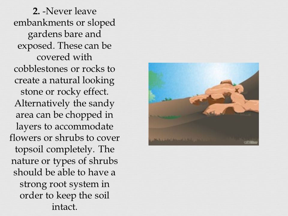 2. -Never leave embankments or sloped gardens bare and exposed.
