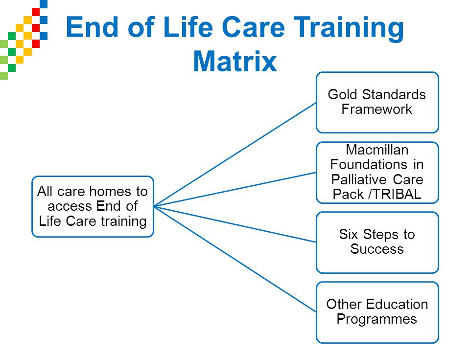 All care homes to access End of Life Care training Gold Standards Framework Macmillan Foundations in Palliative Care Pack /TRIBAL Six Steps to Success Other Education Programmes End of Life Care Training Matrix