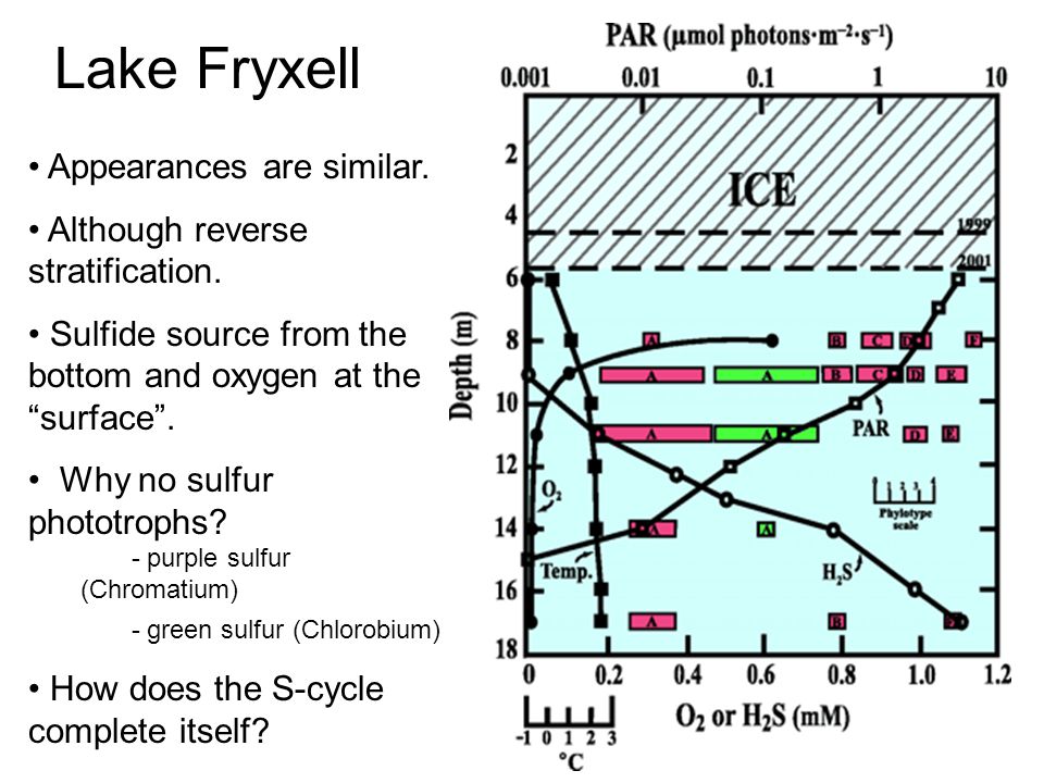 Lake Fryxell Appearances are similar. Although reverse stratification.