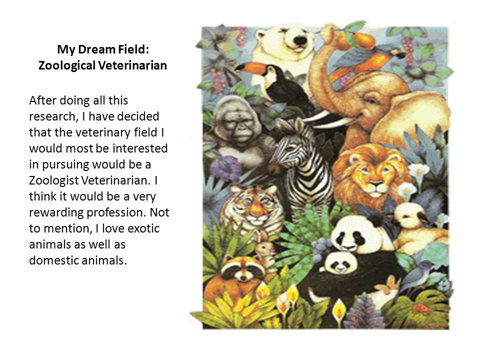 My Dream Field: Zoological Veterinarian After doing all this research, I have decided that the veterinary field I would most be interested in pursuing would be a Zoologist Veterinarian.