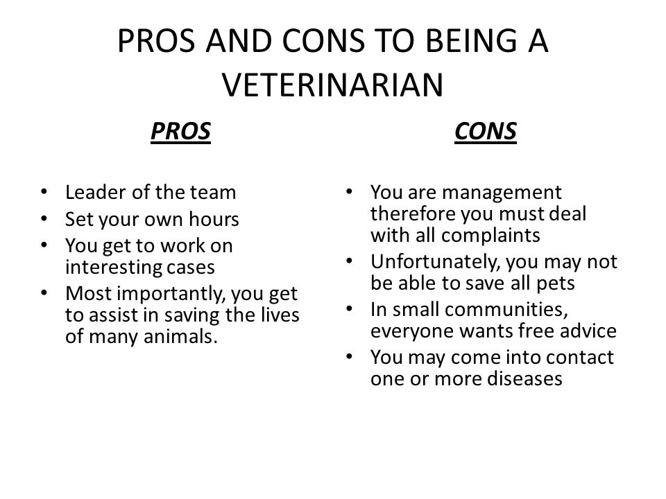 PROS AND CONS TO BEING A VETERINARIAN PROS Leader of the team Set your own hours You get to work on interesting cases Most importantly, you get to assist in saving the lives of many animals.