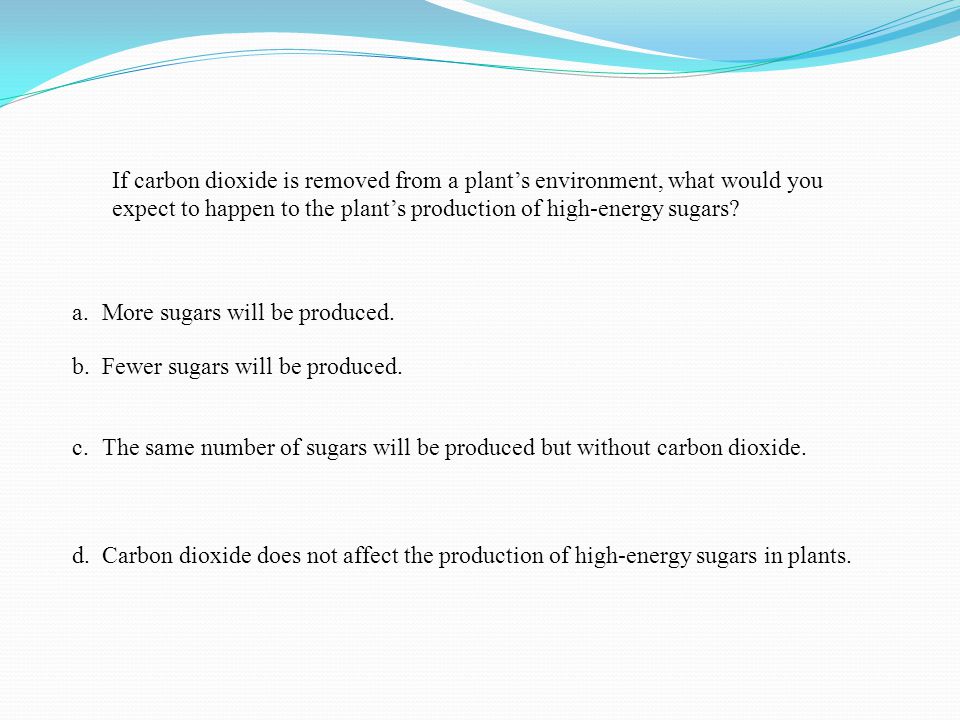 If carbon dioxide is removed from a plant’s environment, what would you expect to happen to the plant’s production of high-energy sugars.