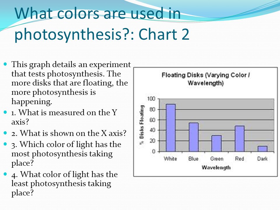 What colors are used in photosynthesis : Chart 2 This graph details an experiment that tests photosynthesis.