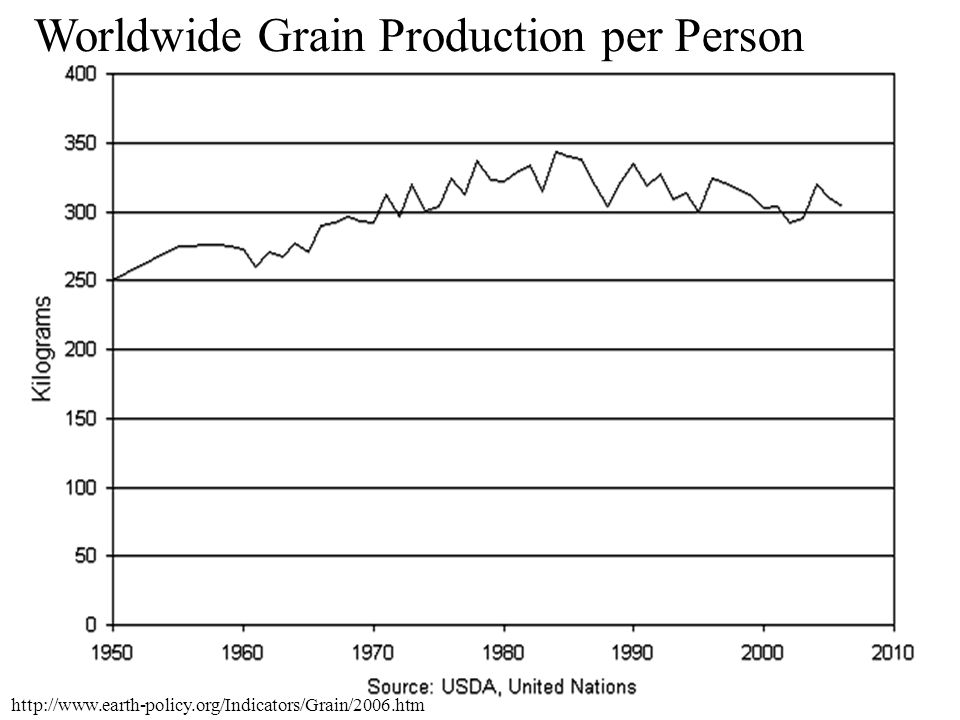 Worldwide Grain Production per Person