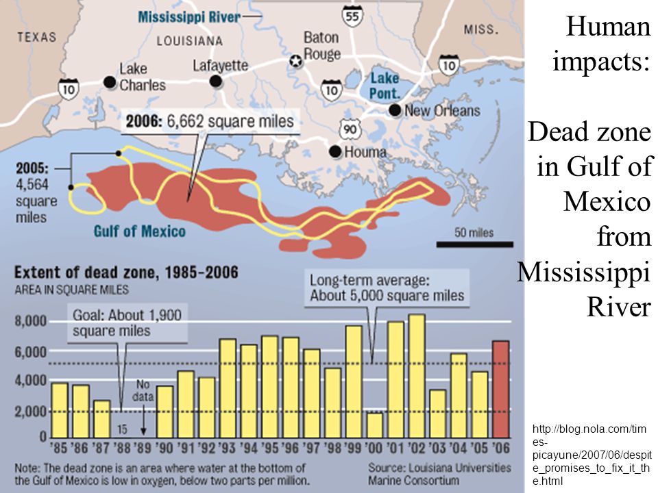 Human impacts: Dead zone in Gulf of Mexico from Mississippi River   es- picayune/2007/06/despit e_promises_to_fix_it_th e.html