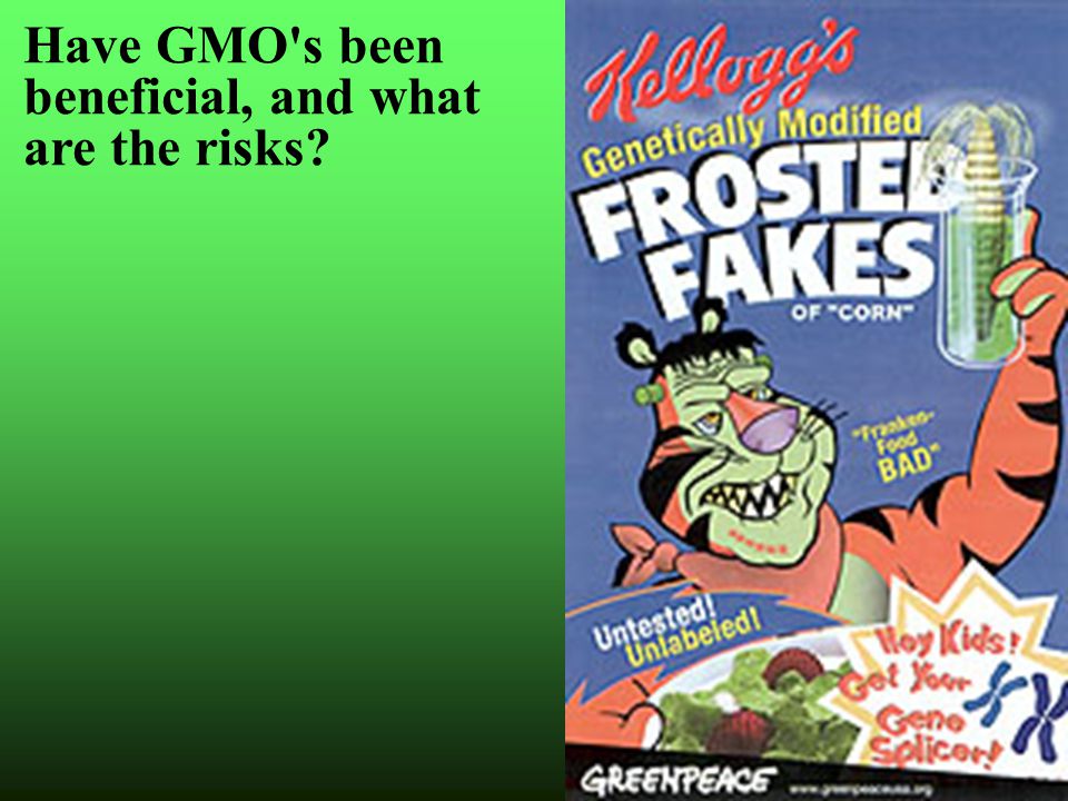 Have GMO s been beneficial, and what are the risks