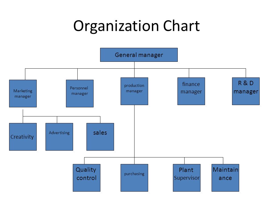 Match organization. Организационная диаграмма. Organization Chart. Организационная диаграмма фирмы. Организационный чарт.