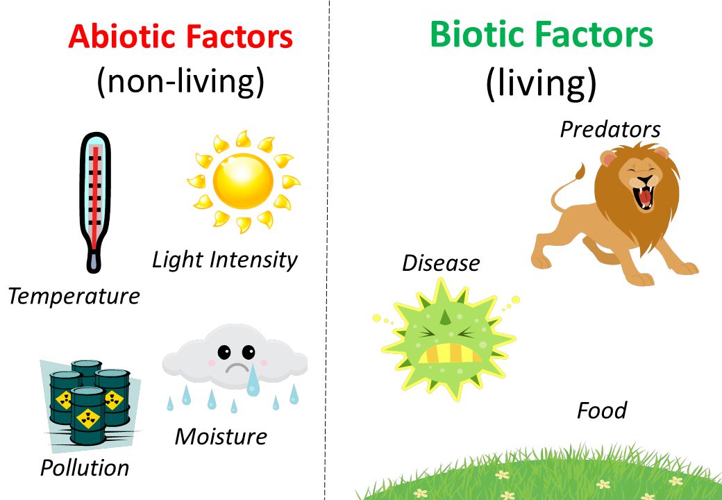 Abiotic Factors (non-living) Biotic Factors (living)